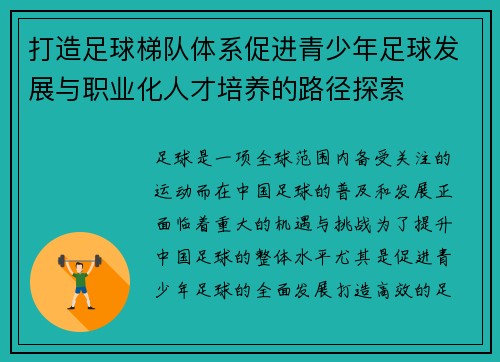 打造足球梯队体系促进青少年足球发展与职业化人才培养的路径探索