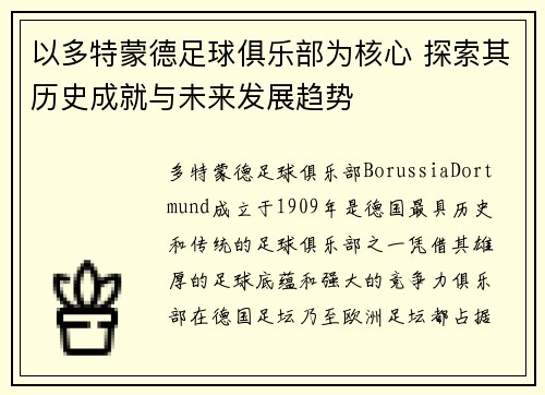 以多特蒙德足球俱乐部为核心 探索其历史成就与未来发展趋势