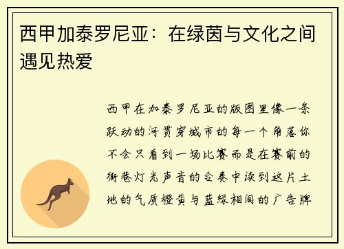 西甲加泰罗尼亚：在绿茵与文化之间遇见热爱